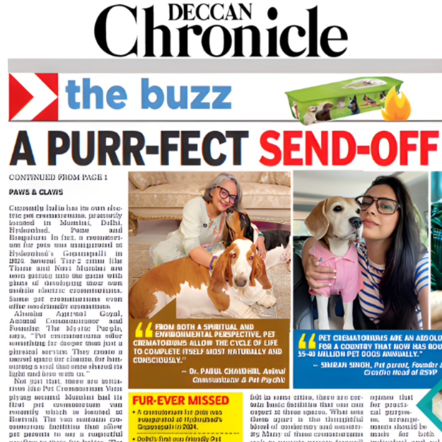 20251028115351news images (2).png